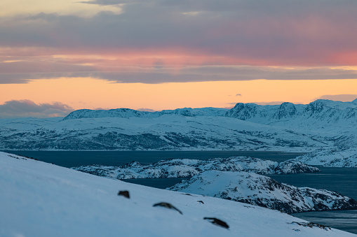 Beautiful winter landscape at sunset. \nHammerfest - Norway.