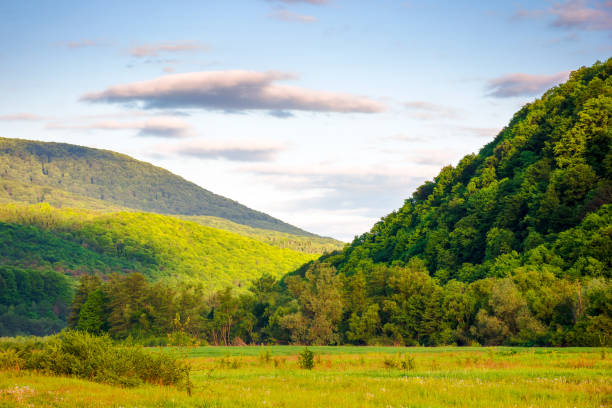 istock carpathian countryside scenery in spring 2048570587