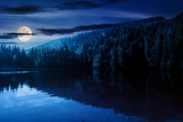 istock composite night scene of lake among forest 2048572226