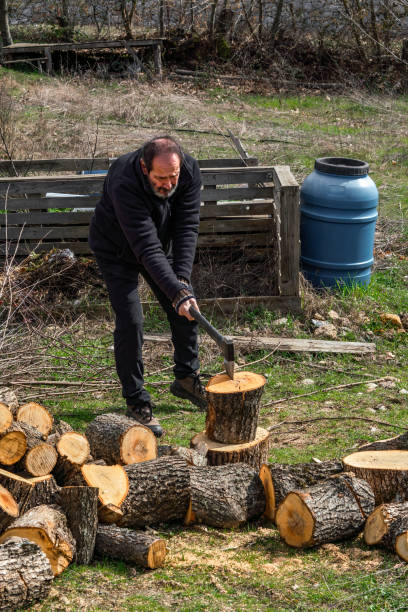 Simple Village Life: Man in Garden Splitting Logs with Axe
