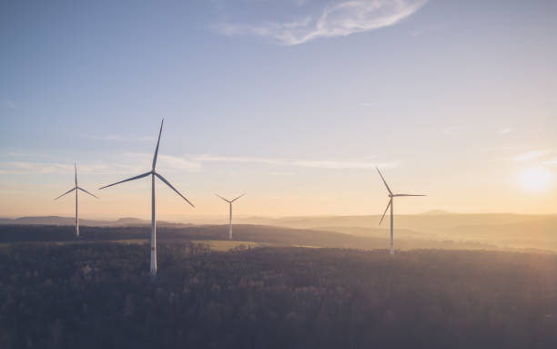 istock Wind turbines between the dark forest with the sun setting 2048630611