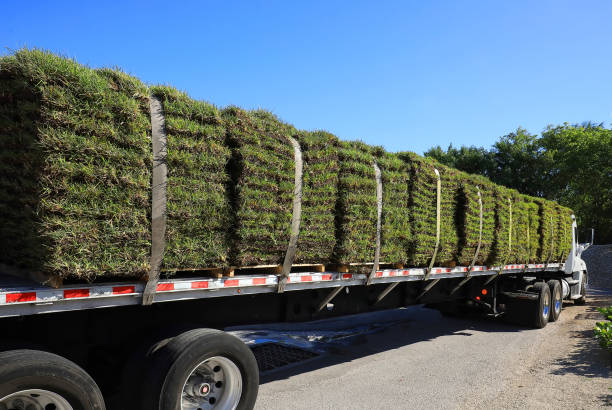 istock Sod Truck delivering Grass 2048644204