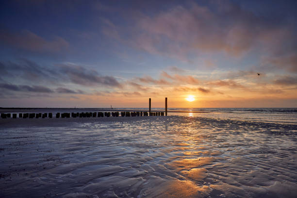 istock Breakwaters on beach, Netherlands, Zeeland, Domburg 2048648873