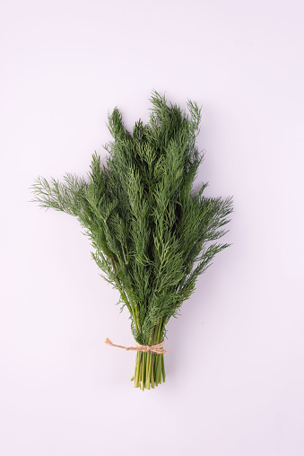 bunch of green fresh dill stems on white background.