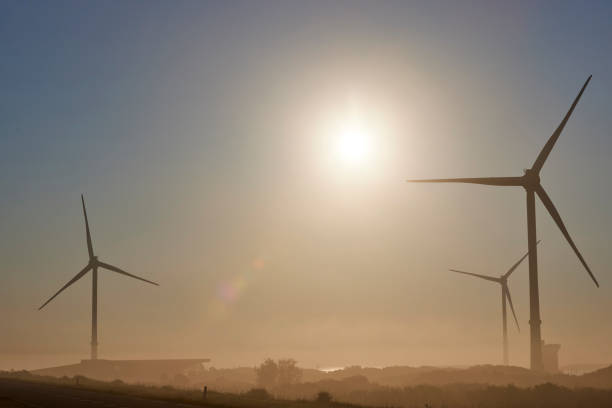 Wind turbines on a misty, sunny morning, Zeeland, Netherlands