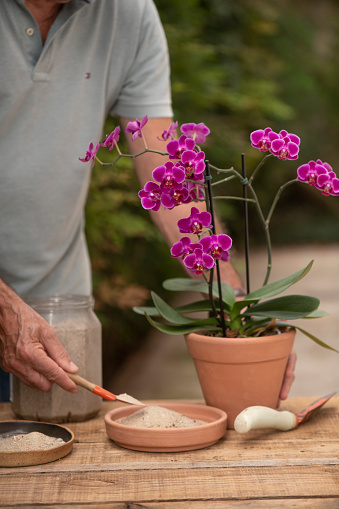 Man filling up a vase bowl with sand to avoid stagnant water, thus eliminating mosquitoes potential breeding grounds for the proliferation of epidemic deseases as, dengue, chikungunya, zika virus, malaria, yellow fever; etc.