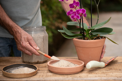Man filling up a vase bowl with sand to avoid stagnant water, thus eliminating mosquitoes potential breeding grounds for the proliferation of epidemic deseases as, dengue, chikungunya, zika virus, malaria, yellow fever; etc.