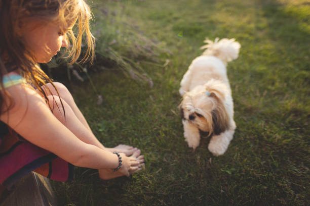 Little girl playing with her dog