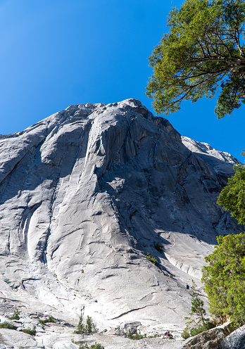 View of a towering stone mountain with a lush green tree in the foreground.