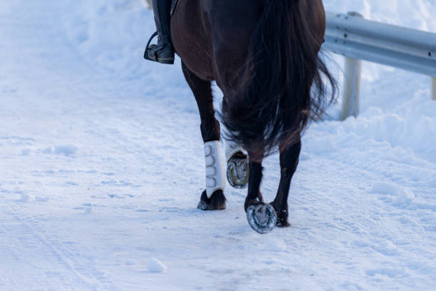 A red horse running in front of orthodox church.