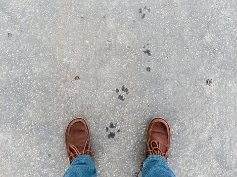 Men's booted feet and wet dog paw prints on the pavement.