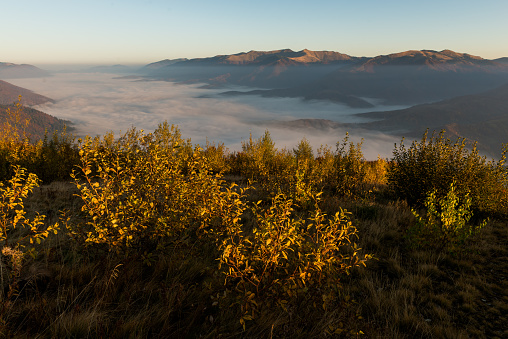 Autumn in Pishkonya range region of Carpathians Mountains, Ukraine