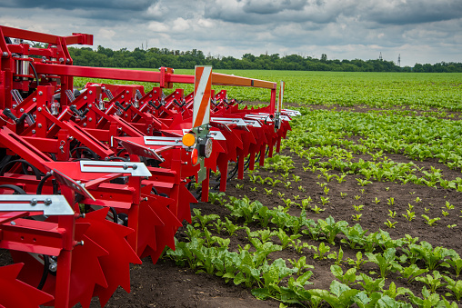 A multi-row disc harrow with loosening knives for tractors on the background of a field on a sunny warm day.