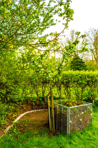 istock Garden with trees plants hut compost beds lawn in Germany. 2048912549