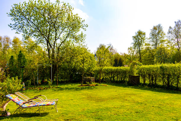 istock Garden with trees plants hut compost beds lawn in Germany. 2048916841