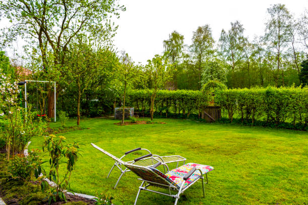 istock Garden with trees plants hut compost beds lawn in Germany. 2048920943