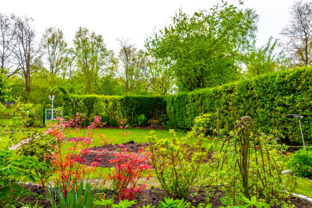 istock Garden with trees plants hut compost beds lawn in Germany. 2048921472
