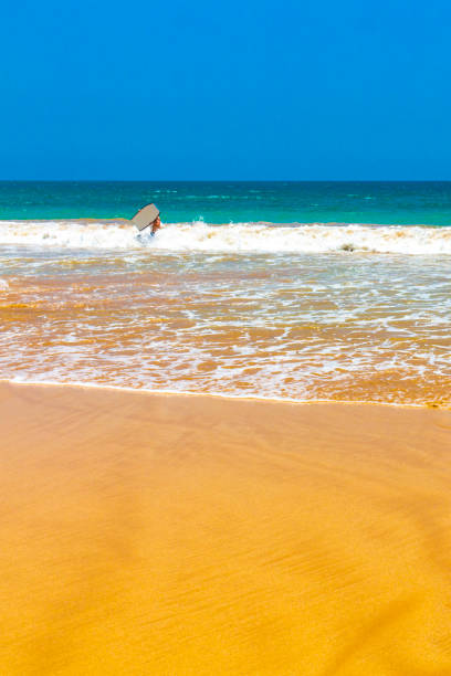 Beautiful paradise tropical beach with palm trees waves and sea water view in Mirissa Beach Southern Province Sri Lanka.