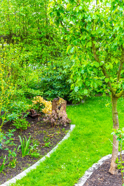 istock Garden with trees plants hut compost beds lawn in Germany. 2048944296