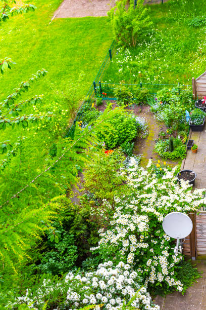istock Garden with trees plants hut compost beds lawn in Germany. 2048951602