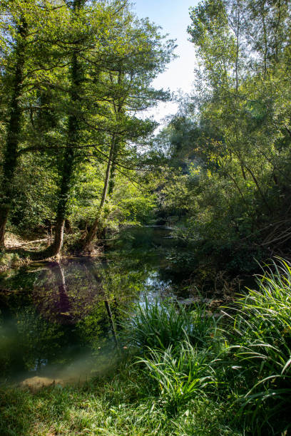 istock Foreste Casentinesi National Park 2048953179