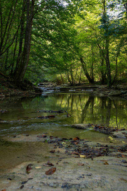 Foreste Casentinesi National Park, San Benedetto in Alpe, Emilia Romagna