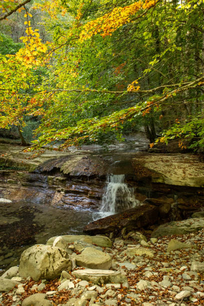 istock Foreste Casentinesi National Park 2048954761