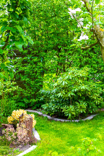 istock Garden with trees plants hut compost beds lawn in Germany. 2048955297
