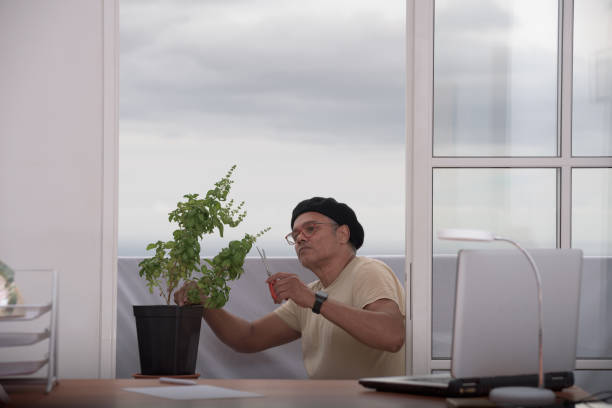 he cuts the bad leaves sitting on his balcony