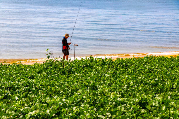 boat fishing boats fisher with fishing rod net pattaya thailand. - recreational boat nautical vessel fishing rod motorboat imagens e fotografias de stock