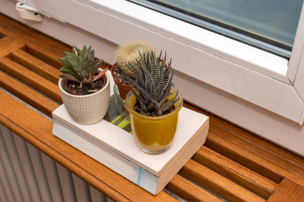 Indoor gardening