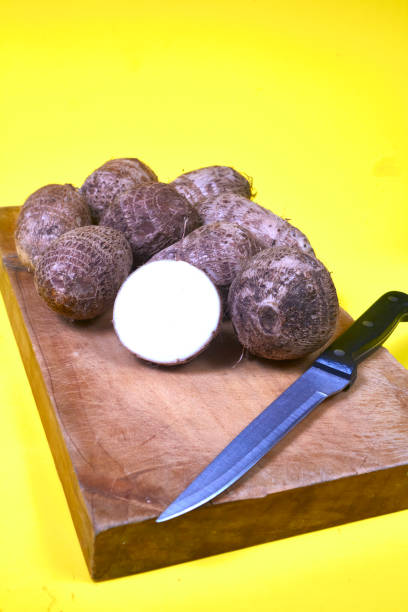 closeup of taro root vegetable, eddo malanga, yellow background - chinese eddo zdjęcia i obrazy z banku zdjęć