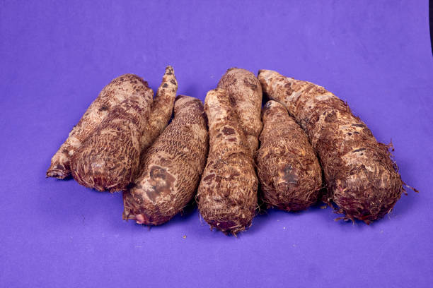 closeup of taro root vegetable, eddo malanga, purple background - chinese eddo zdjęcia i obrazy z banku zdjęć