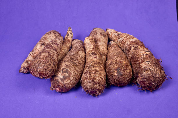 closeup of taro root vegetable, eddo malanga, purple background - chinese eddo - fotografias e filmes do acervo