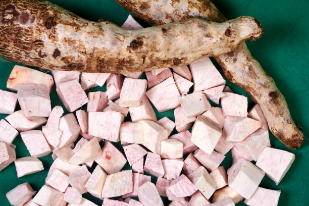 closeup of taro root vegetable, eddo malanga, green background - chinese eddo zdjęcia i obrazy z banku zdjęć