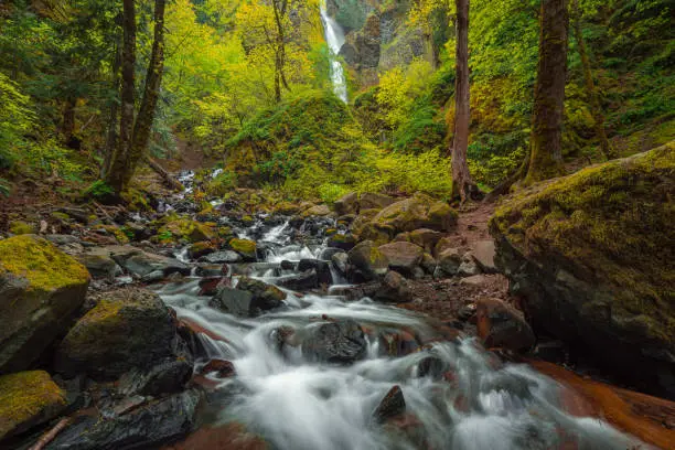 A tall waterfall and stream in springtime are surrounded by lush trees in Oregon.