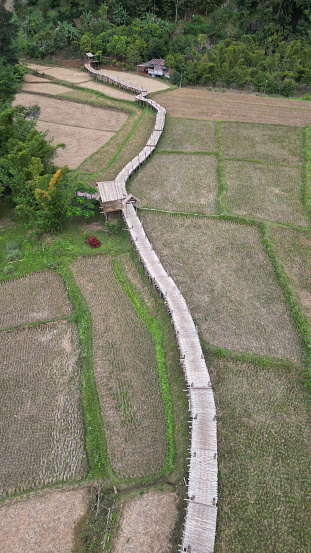Top view of the bamboo bridge to the village. Passing through the middle of rice fields is a beautiful natural place. Located in Phrae Province, Thailand.