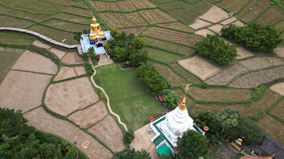 Top view of a bamboo bridge to white pagoda and Phra Chao Ton Luang a large outdoor golden Buddha statue. Sitting in the middle of a rice field at Wat Nakhuha there are beautiful natural places. Located at Phrae Province in Thailand.