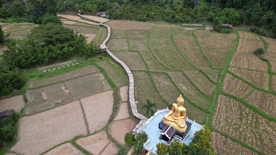 Top view of bamboo bridge to Phra Chao Ton Luang, a large outdoor golden Buddha statue. Sitting prominently in the middle of a rice field Inside Wat Nakhuha there are beautiful natural places.