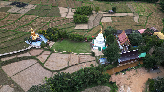 Top view of a bamboo bridge to white pagoda and Phra Chao Ton Luang a large outdoor golden Buddha statue. Sitting in the middle of a rice field at Wat Nakhuha there are beautiful natural places. Located at Phrae Province in Thailand.