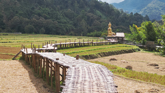 A bamboo bridge to Phra Chao Ton Luang a large outdoor golden Buddha statue. Sitting in the middle of a rice field at Wat Nakhuha there are beautiful natural places. Located at Phrae Province in Thailand.