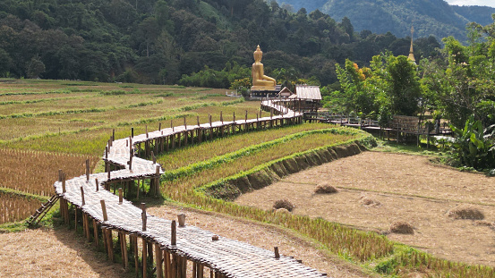 Top view of a bamboo bridge to Phra Chao Ton Luang a large outdoor golden Buddha statue. Sitting in the middle of a rice field at Wat Nakhuha there are beautiful natural places. Located at Phrae Province in Thailand.