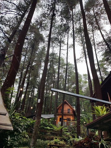 Portrait of a house in the middle of the forest