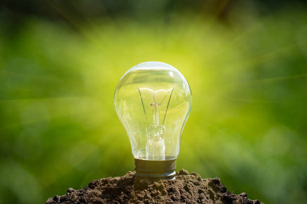 istock Light bulb concept put on soil in soft green nature background. 2049125378