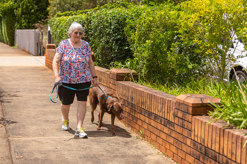 Senior woman walking her dog