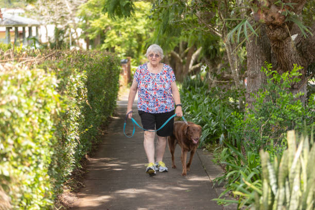 istock Senior woman walking her dog 2049128096