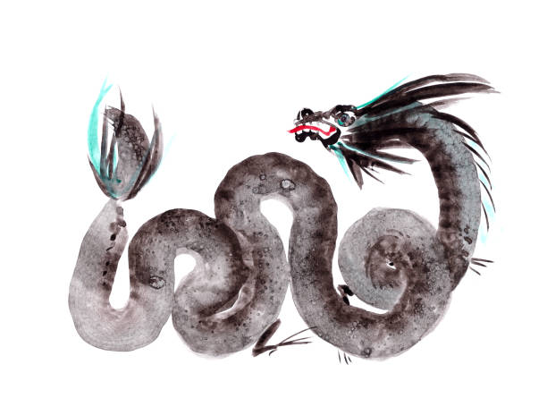 monochrome dragon on white background, chinese brush painting monochrome dragon on white background, chinese brush painting. High quality illustration drawing of chinese dragon sketch stock illustrations