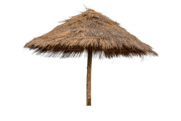 Reed, Straw beach umbrella isolated on white background