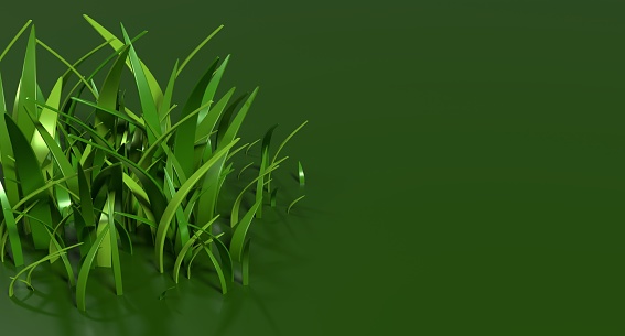 3D rendering of green grass. Nature grass cartoon. Green grass path isolated. 3D rendering illustration