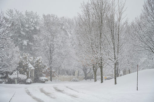 Community of Center Point Farm in snowstorm, Worcester, Pennsylvania, USA